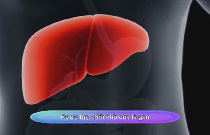 Sống khỏe 360 - Rượu bia - Nỗi khổ của lá gan  (05-01-2020)